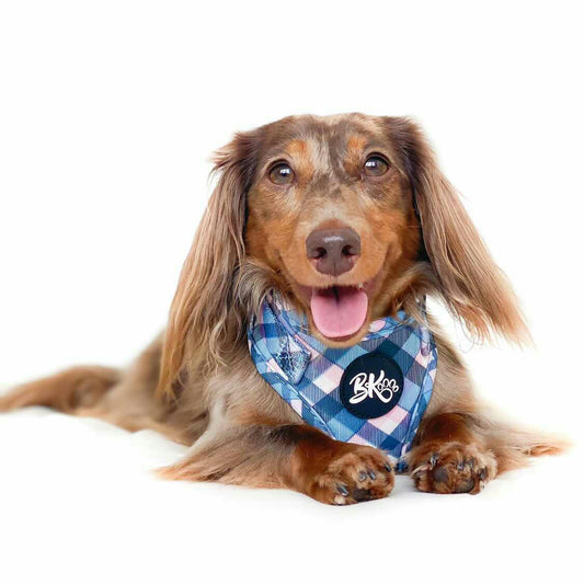 Tartan - Adjustable Dog Harness - Furry Lane Pet Boutique