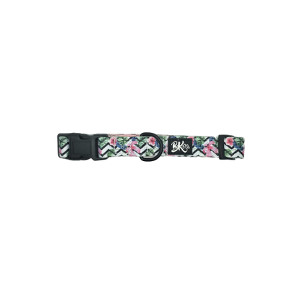 You had me at Aloha - Dog Collar - Furry Lane Pet Boutique